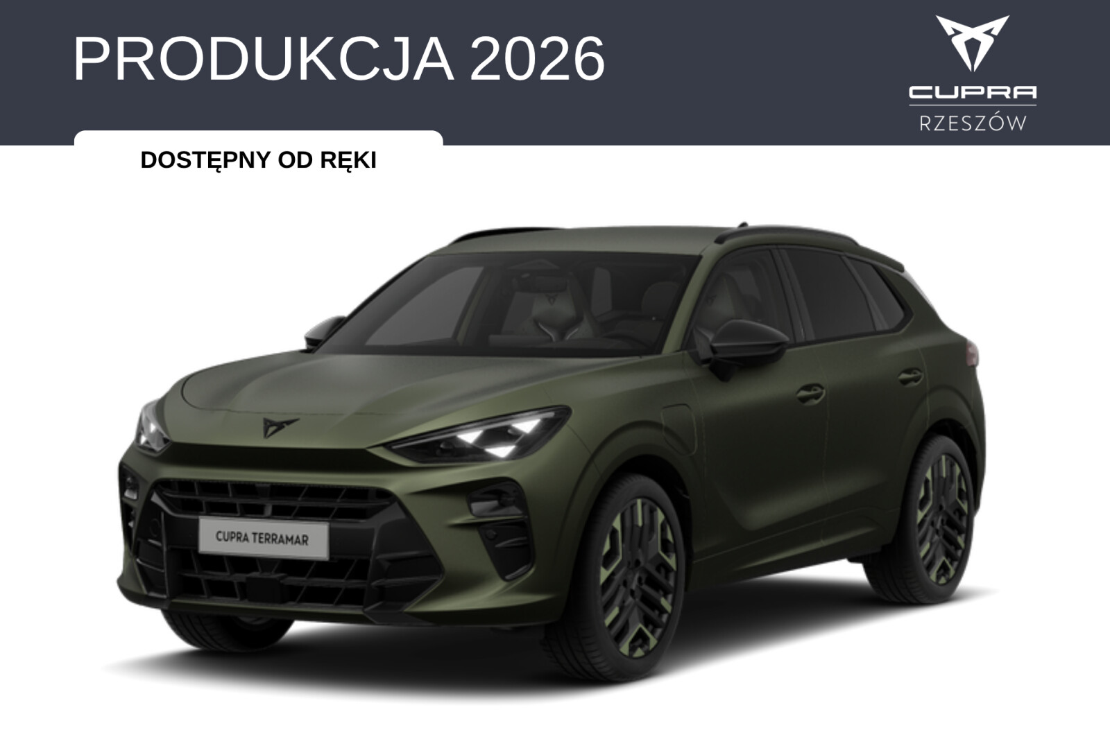 Cupra Terramar