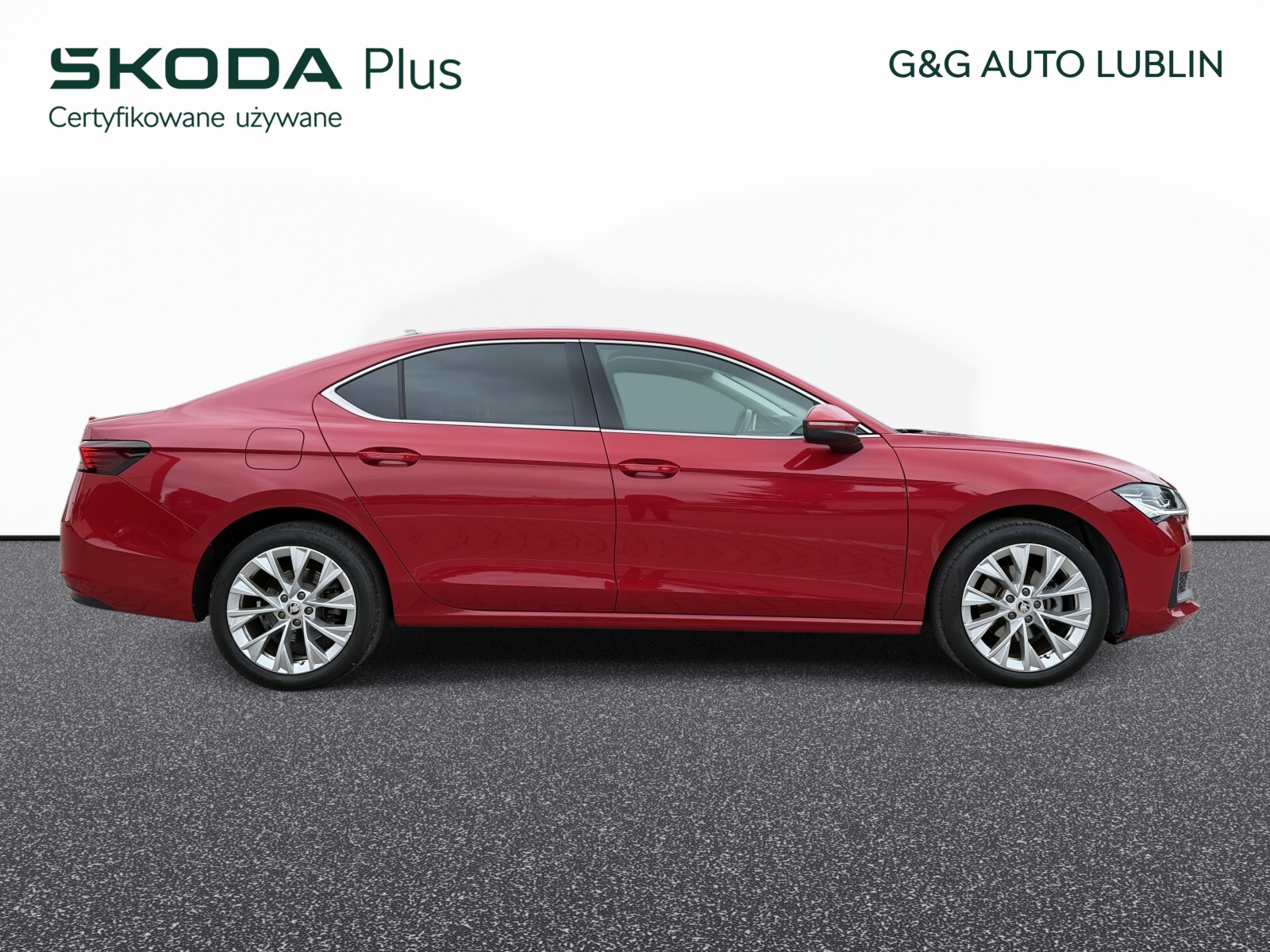 Zdjęcie miniaturka