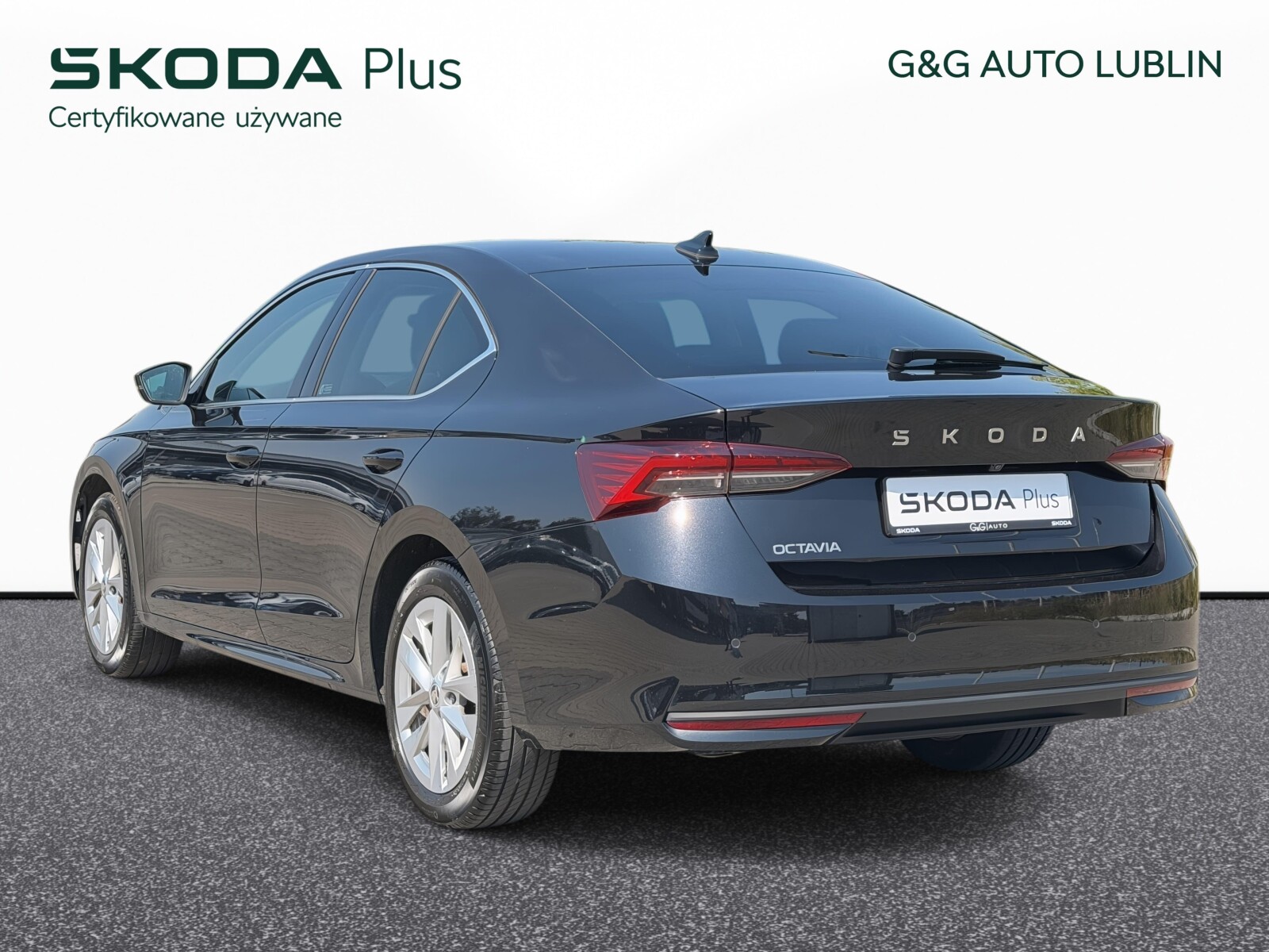 Zdjęcie miniaturka